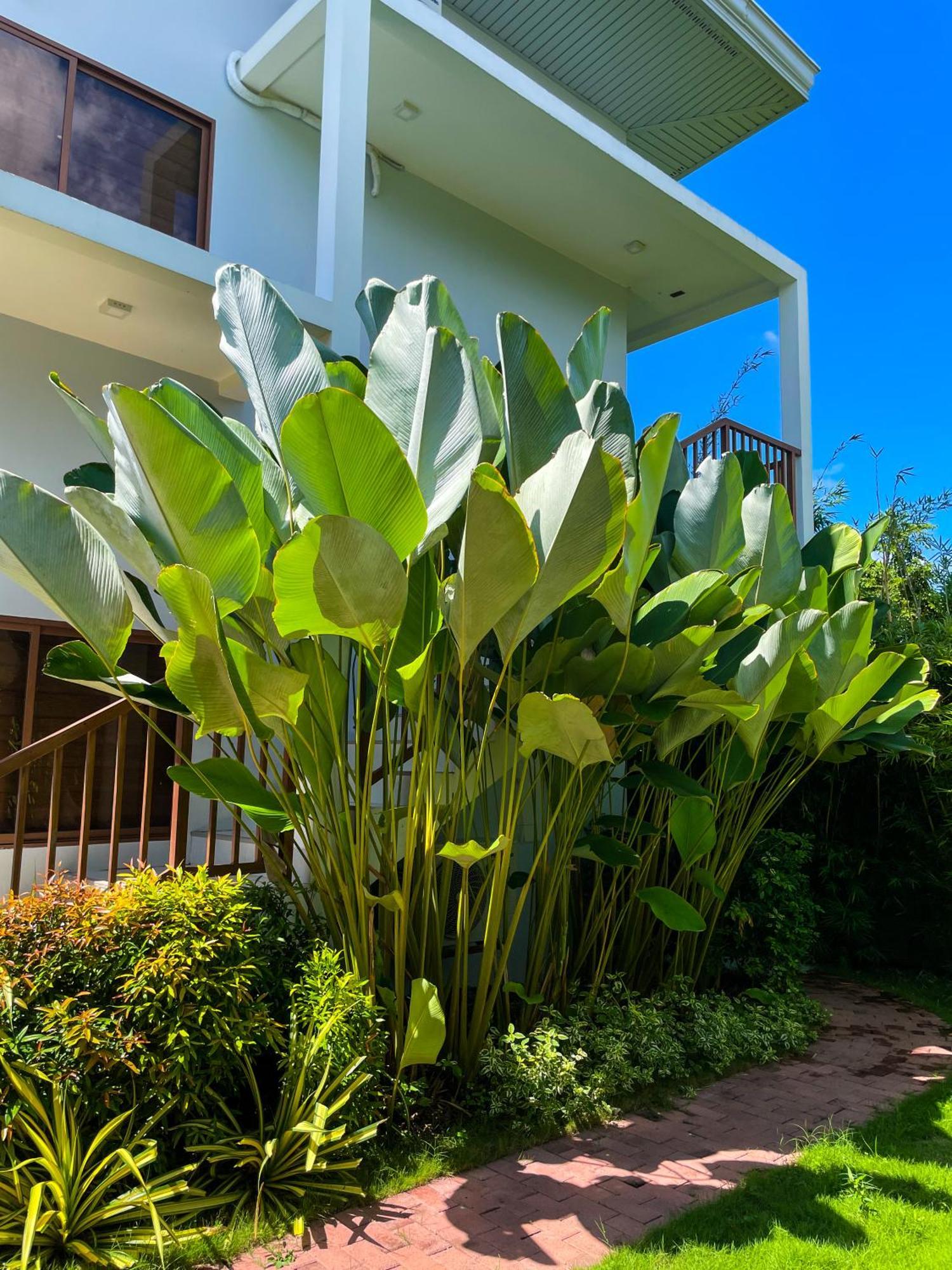 Red Picnic Hostel Panglao Exterior foto